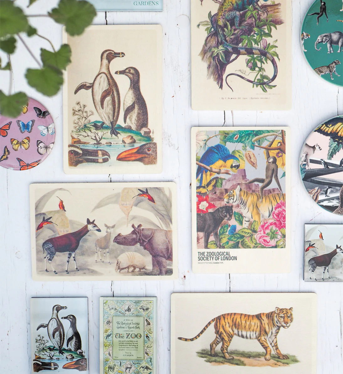 Gifts That Save Wildlife